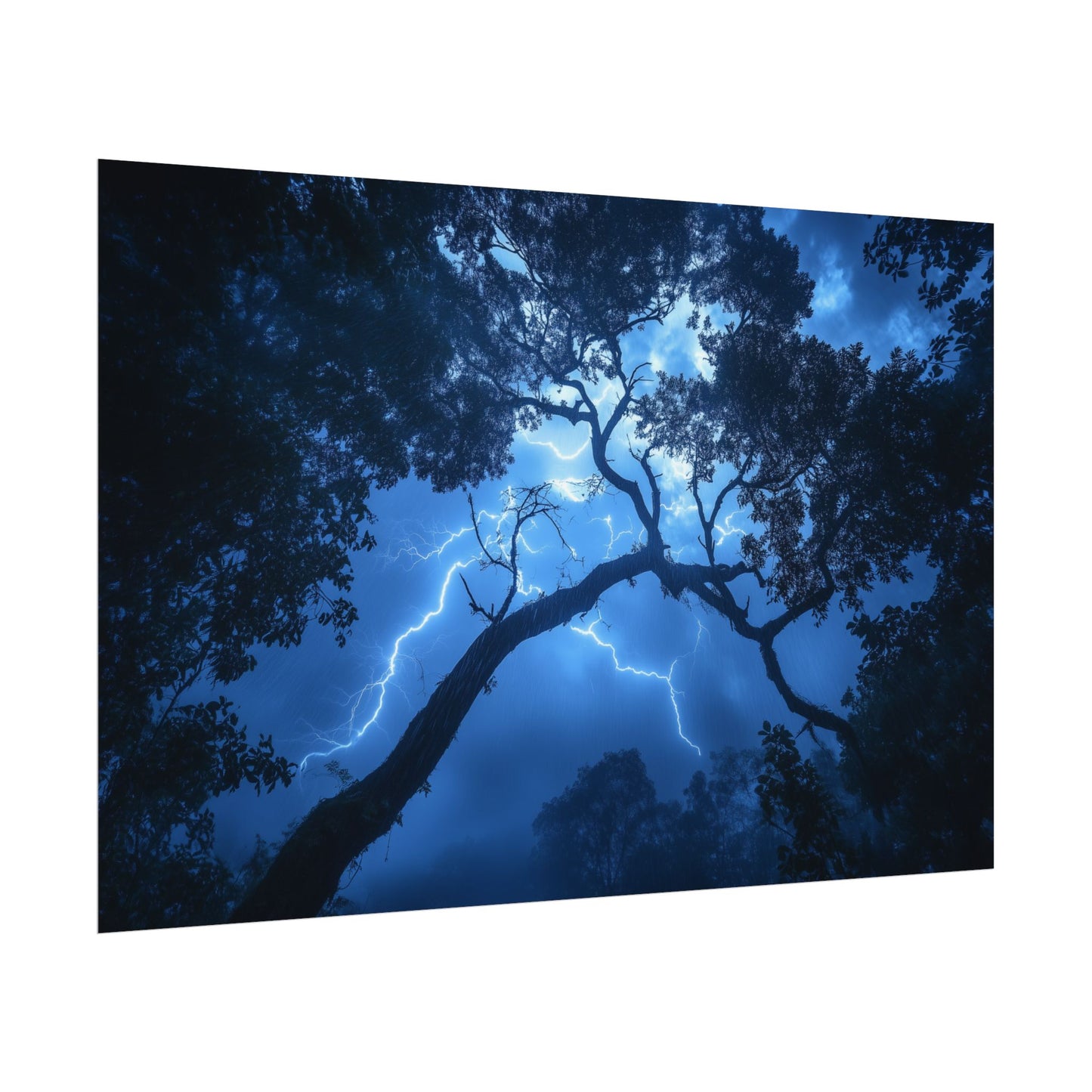 Nature's Pulse