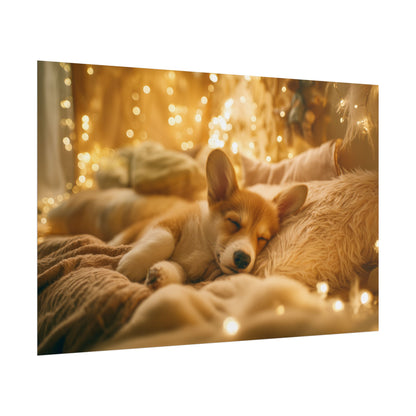 Dreaming in Golden Light