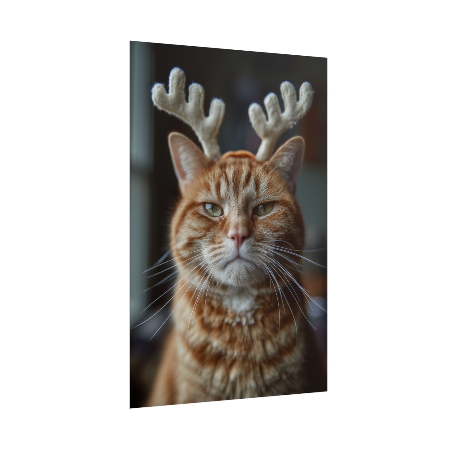 Whiskers of Judgment
