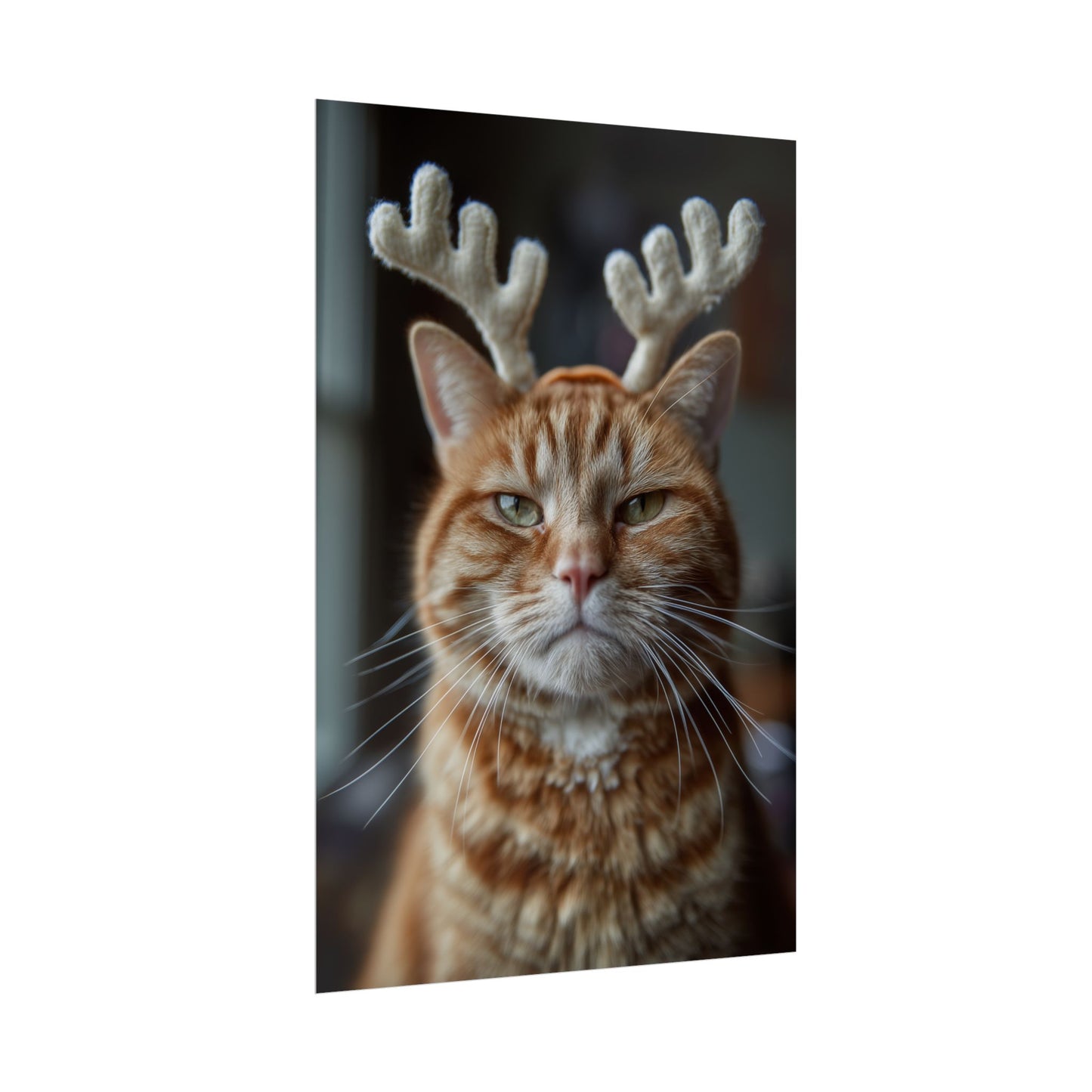 Whiskers of Judgment