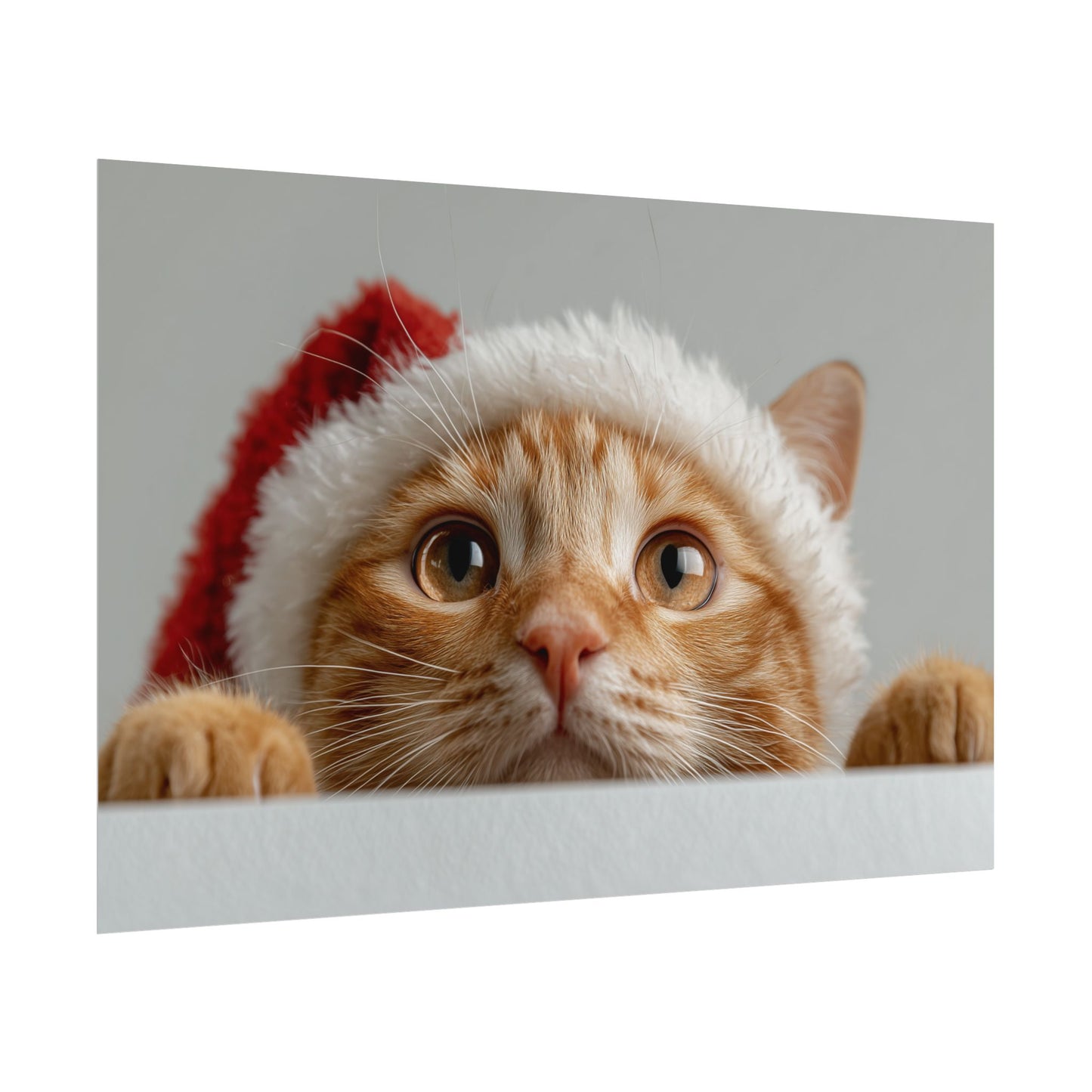 Jingle Purrs