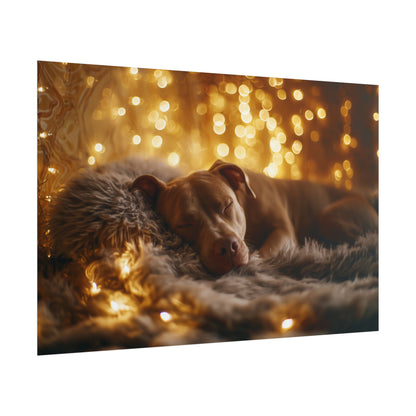 Twinkle, Snug, Repeat