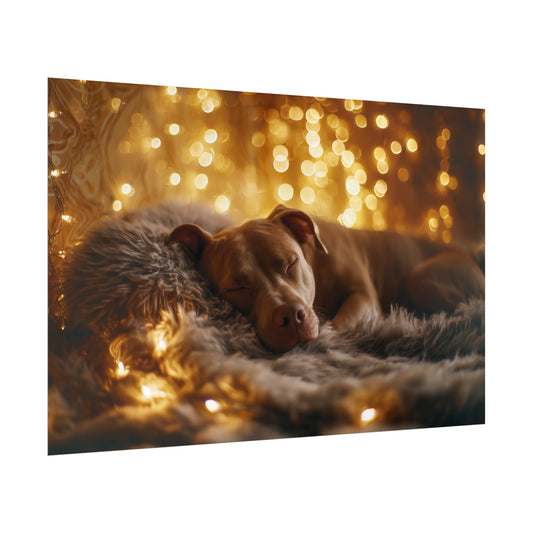 Twinkle, Snug, Repeat