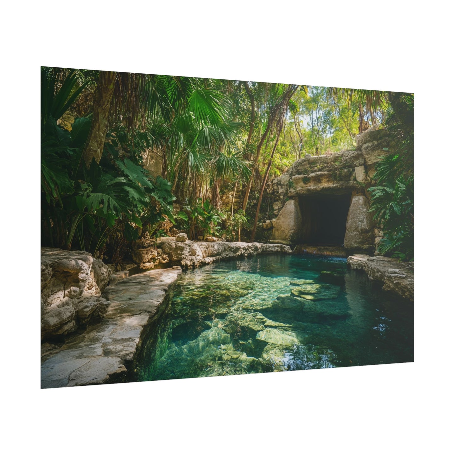 The Secret Oasis