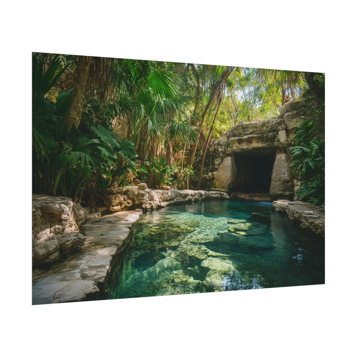 The Secret Oasis